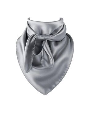 Wild Rag Scarf Large Silver Gray 23x23 Western Accessory